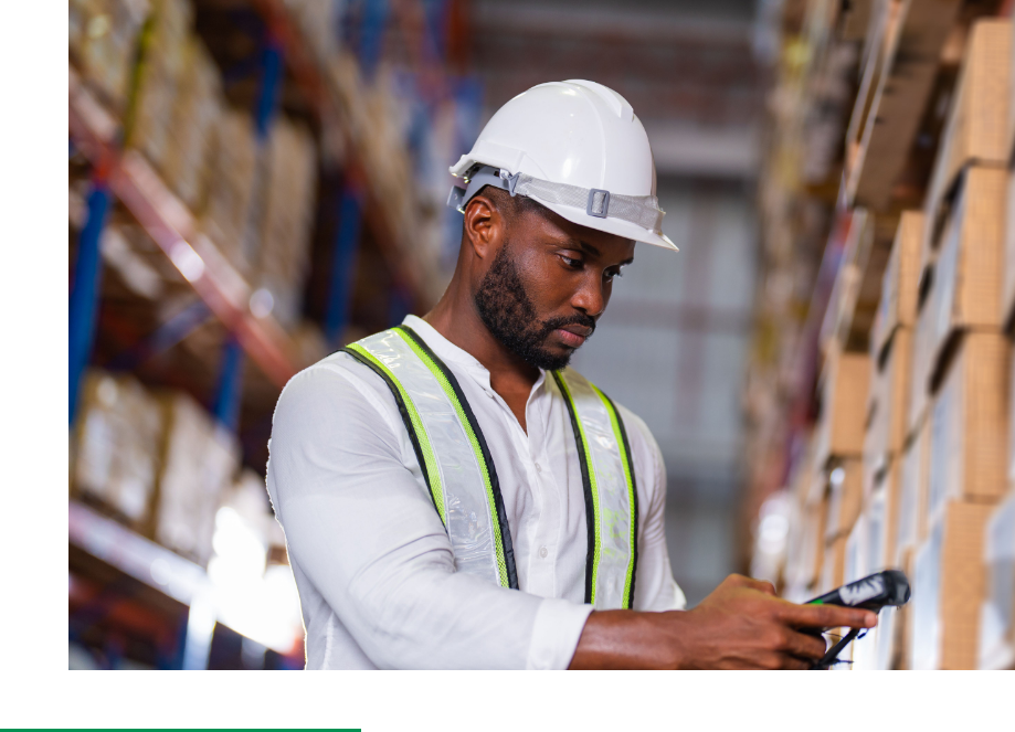 ERP System, Inventory System, Purchasing System, POS System,  Accounting System, Manufacturing System, CRM System, Appointment System, Supply Chain, Marketing, HR System, Multi-Company Consolidation System,  E-commerce Platform, Fleet Management, Multi-Currency Support, Student & Instructor Portals, Procurement & Replenishment System, Website Builder,  Wholesale and Distribution System
